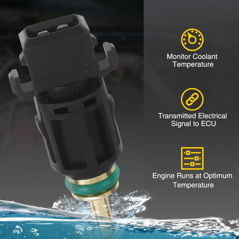 Engine coolant temperature sensor, close-up view, black plastic housing with brass probe and green O-ring.