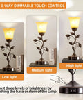 Touch Control Table Lamp With Two USB Ports, 3-Way Dimmable Bedside Light, Amber Glass Shade showing low, medium, and high brightness levels.