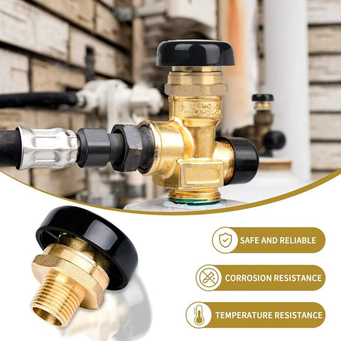 NBPLUS 1/2-inch brass vacuum relief valve with black cap installed on plumbing line