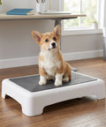 Corgi puppy on Portable Puppy Training Platform With Non Skid Surface For Indoor And Outdoor Dog Agility Practice Slip Resistant Plastic Board For Small Breeds Safe Obstacle Training Tool For Early Obedience And Fun