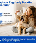 Child and dog with HEPA replacement filter and carbon pre filters for Holmes and Bionaire vacuums, ensuring clean air