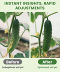Before and after cucumbers showing effects of Soil pH Test Kit With 150 Strips And Cylinder For Quick Readings