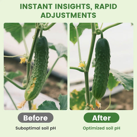 Before and after cucumbers showing effects of Soil pH Test Kit With 150 Strips And Cylinder For Quick Readings