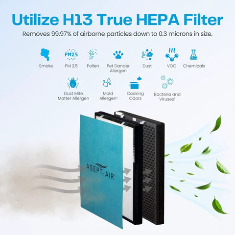 Image of 2550 Replacement Filter Kit With Washable Pre Filter And 2 Stage True HEPA And Carbon Filter For Air Purifier Captures 99.97 Percent Dust Pet Dander Mold Spores Pollen And Allergens At Home, showing filter layers