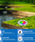 10W RGBW Landscape Lights for Outdoors Low Voltage 12-24V Well Lights In Ground Multicolor on grassy garden path by water, IP67 waterproof.