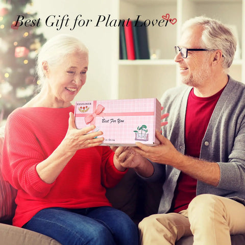 Senior couple exchanging gift box labeled 'Best For You' with festive background, 'Best Gift for Plant Lover' text overlay.