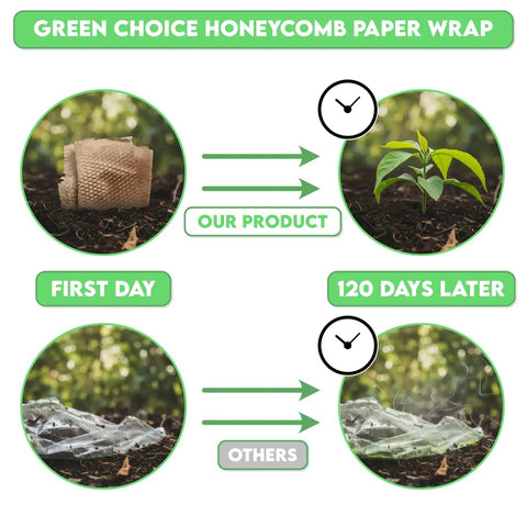Green choice honeycomb paper wrap and plastic comparison showing decomposition process over 120 days.