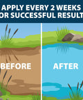 Easy To Use Beneficial Bacteria Pond Clarifier Packets For Clear Water, 12 Count, Fast, Lasting Results With A No Fuss Dose For Your Pond And A Cleaner, Healthier Ecosystem, before and after pond water chart