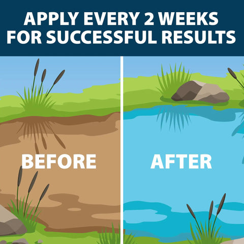 Easy To Use Beneficial Bacteria Pond Clarifier Packets For Clear Water, 12 Count, Fast, Lasting Results With A No Fuss Dose For Your Pond And A Cleaner, Healthier Ecosystem, before and after pond water chart
