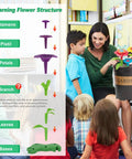 Teacher showing Flower Garden Building Kit For Kids 120 Piece Bouquet Toy Set to preschoolers in classroom STEM activity
