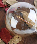 G25 Globe Edison Light Bulb 60W Vintage Round Amber Glass Dimmable Retro Incandescent With E26 Base, Warm White 2100K, Retro Vibe Look, resting on autumn leaves.