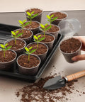 Clear Seed Starter Pots 2.5 Inch, 100 Pack Round Seedling Pots For Germination with seedlings in soil, displayed on tray.