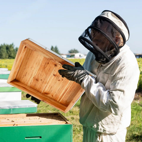 Beekeeper inspecting Two Pack Telescoping Bee Hive Cover for 10 Frame Hives, Metal Lid With Wooden Core, Replacement Covers