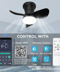 21 Inch Ceiling Fan With Lights And Remote Control, Smart App Control, Quiet DC Motor, Dimmable LED Light, Memory Function, Black Finish
