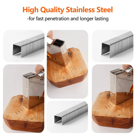Heavy Duty T50 Stainless Steel Staples Assortment 1000 Count Three Sizes with staple gun on wood block