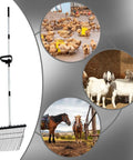 Beefy Adjustable Long Handle Pitch Fork For Garden And Farm Work, Rustproof Heavy Duty Hay Fork With Durable Steel Construction, 65 Inch Length next to images of farm animals.
