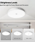 Rechargeable Ceiling Light With Motion Sensor And Remote 12000mAh Battery Powered Closet Light For Shower Garage And Porch Long Lasting Bright 6500K Cool White Wireless Easy Install showing 10 brightness levels