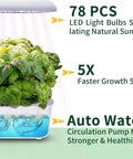 Indoor Hydroponic Garden System With 14 Pods WiFi Smart Herb Garden Kit LED Grow Light Auto Water Pump 5L Reservoir in use