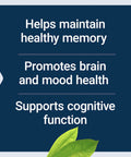 Memory Protect With Lithium And Colostrinin Milk Peptides For Brain Health And Sharp Focus Cognitive Support Gluten Free Non GMO label