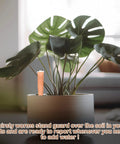 12 Pack Ceramic Water Sensor Worms For Plants Moisture Monitor Garden Tool Cute Plant Decor And Humidity Meter For Potted Houseplants Easy Soil Check Perfect Gift For Green Thumbs And Garden Lovers, ceramic worm in potted monstera