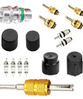 16 Piece Air Conditioning Valve Core Kit With Schrader Cores, Remover Tool, Service Valves And HVAC System Charging Port Seal Caps