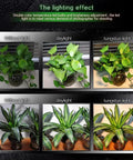 LED Tattoo Light Kit For Pro Grade Photos And Videos Clip On Photo Lights With CPL Filter 120 LED Beads No Glare lighting effects on plants