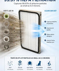 Diagram showing Replacement HEPA Vacuum Filter for Kenmore EF1 capturing dust and allergens with labeled filtration benefits.