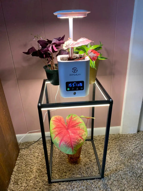 Dope LED End Table With Lamp Bedside Nightstand And Coffee Table Black Geometric Rectangle Metal Desk Lamp Shelf For Living Room Bedroom Home Office Study Room Modern Vibe showcasing potted plants and digital clock.