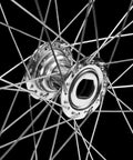 Close-up of 26 Inch Beefy Tricycle Rim For Adult Three Wheel Bike Replacement Double Wall Alloy Wheel With Silver Spokes 36X13G
