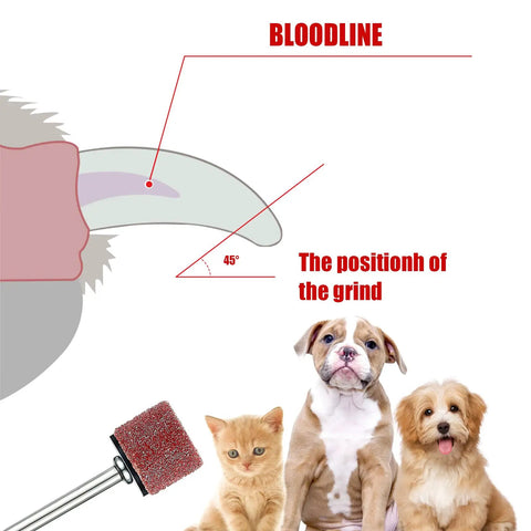 Diagram showing bloodline and grind position on pet nail with dog nail grinder, including Dog Nail Grinder Replacement Kit 26 Pack With Sanding Drums And 80 Grit And 120 Grit Bands For Pet Nail Smoothing Shank Rotary Tool Kit For Home Grooming And Claw Care.