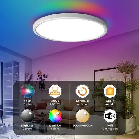 Smart LED Flush Mount Ceiling Light With HomeKit Siri Alexa Google Voice Control 12 Inch 24W illuminating a living room