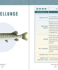 Musky illustration from Freshwater And Saltwater Trophy Fish Guide For Anglers Meet The Biggest Epic Species To Chase Grab The Trophy