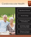 Display of All Natural Arjuna Powder For Heart Health And Wellness, Terminalia Arjuna Bark Supplement with health benefits list.
