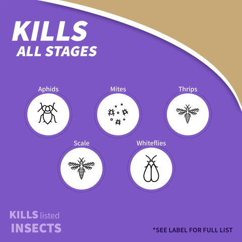 Infographic showing pests controlled by Captain Jack's Insecticidal Super Soap 32 Oz Ready To Use Spray, including aphids and mites.