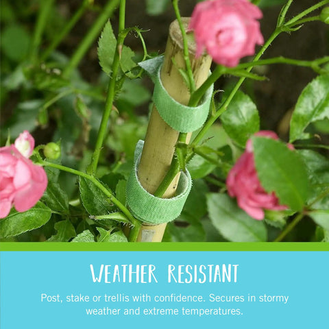 Adjustable Garden Plant Ties For Staking And Training Plants, 75 Feet Of Green Hook And Loop Tape, Reusable On Roses