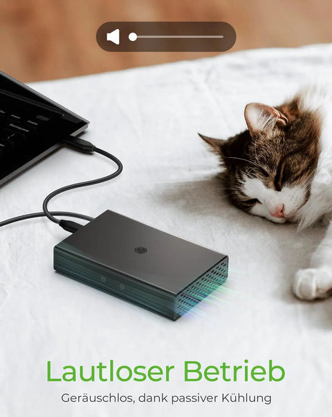 Dual Bay 2.5 Inch Sata Enclosure With Usb C Type Port For Ssd And Hard Drives on a table next to a sleeping cat.