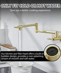 Gold Pot Filler Wall Mount Faucet With Double Joint Swing Arm Two Handle Single Hole Kitchen Faucet High Flow Brass Construction