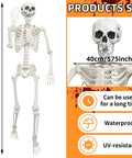Epic Life Size Halloween Skeleton With Movable Joints, Realistic Gray Plastic Bones, 5.4 Feet Tall, Weather Resistant