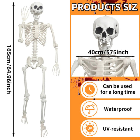 Epic Life Size Halloween Skeleton With Movable Joints, Realistic Gray Plastic Bones, 5.4 Feet Tall, Weather Resistant
