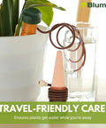 Self Watering Planter Insert And Drip Stakes Set For Pots Automatic Plant Watering System with ceramic spike in planter.