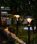Low Voltage Path Lights LED 1W 60 Lumen Flood Lights With Sturdy Metal Stake illuminating a garden path at night