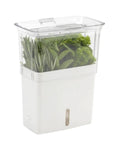 Fresh Herb Keeper For The Fridge With Flip And Slide Lid Acrylic Storage For Herbs And Veggies That Stay Crisp Up To 10 Days