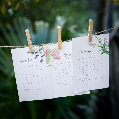 Large Wooden Clothes Pins 2.9 Inch 50 Pack Built Tough Galvanized Coil Springs holding monthly calendars on twine.