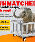 Built Like A Tank 5 Inch Heavy Duty Polyurethane Caster Wheels With Reliable Brakes Silent Double Ball Bearing Smooth Swivel Casters Roll Sweet Top Shelf Set Of Four For Heavy Loads Work Carts with an elephant on a metal cart.