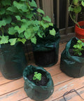 4 Pack 10 Gallon Grow Bags With Flap And Handles For Vegetables And Fruits Durable PE Planter Pots With Green Plants