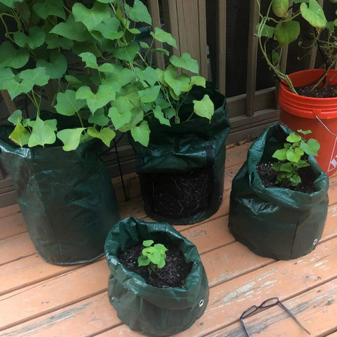 4 Pack 10 Gallon Grow Bags With Flap And Handles For Vegetables And Fruits Durable PE Planter Pots With Green Plants
