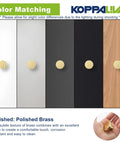 Twenty Pack Dope Gold Cabinet Knobs Hammered Solid Brass Round Drawer Pulls And Handles for Kitchen Cabinets on color boards.