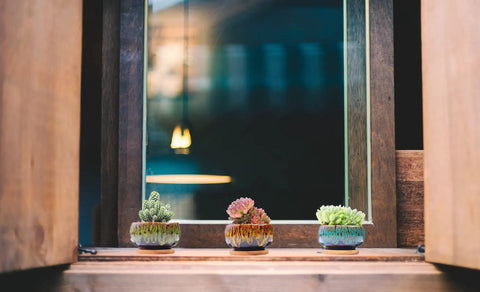 Three Five Pack Cute Ceramic Succulent Planters With Drainage And Attached Saucers, displayed on a windowsill, Round 4x2 Inches