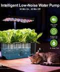 Indoor Hydroponics Growing System For Herbs And Vegetables, 10 Pod Kit with LED lights and water pump, cat sleeping next to garden