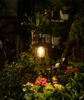 Two Pack Hanging Solar Lantern Lights With Shepherd Hooks Weatherproof Iron Edison Bulb Garden Pathway Lights For Outdoor Patio Lawn Black Finish For All Weather Use illuminating garden flowers at night